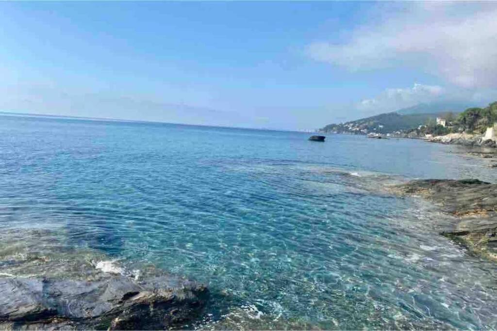 Appartement Vue Mer Avec Parking Gratuit Sur Place Bastia  Zewnętrze zdjęcie